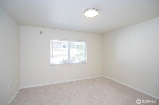 5317 Military Rd E Unit C, Tacoma, WA 98446 - photo 11