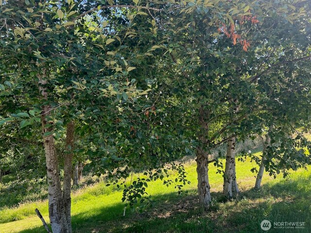499 Waters Watch Rd, Kalama, WA 98625 - photo 38