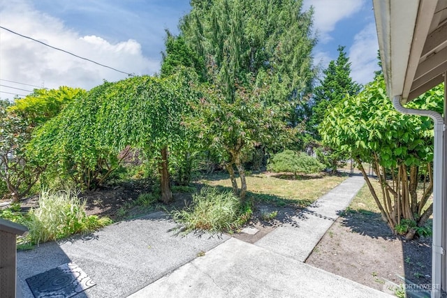 2732 Fir St, Longview, WA 98632 - photo 34
