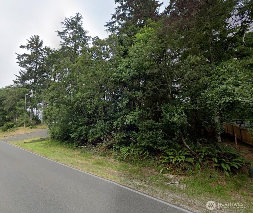 214 Duck Lake Dr SE, Ocean Shores, WA 92544 - photo 1