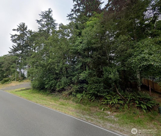 214 Duck Lake Dr SE, Ocean Shores, WA 92544 - photo 1