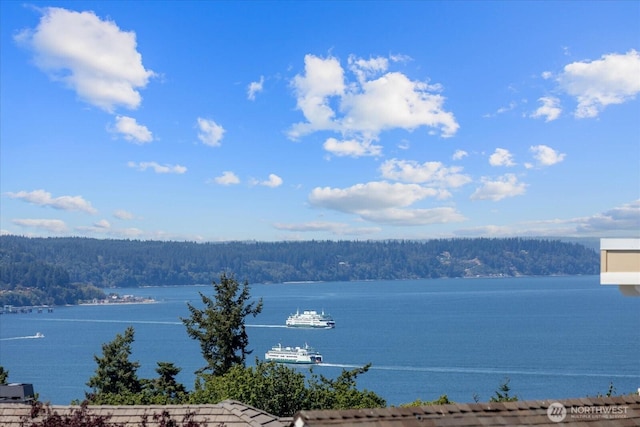 1817 19th Dr, Mukilteo, WA 98275 - photo 1