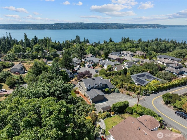1817 19th Dr, Mukilteo, WA 98275 - photo 33