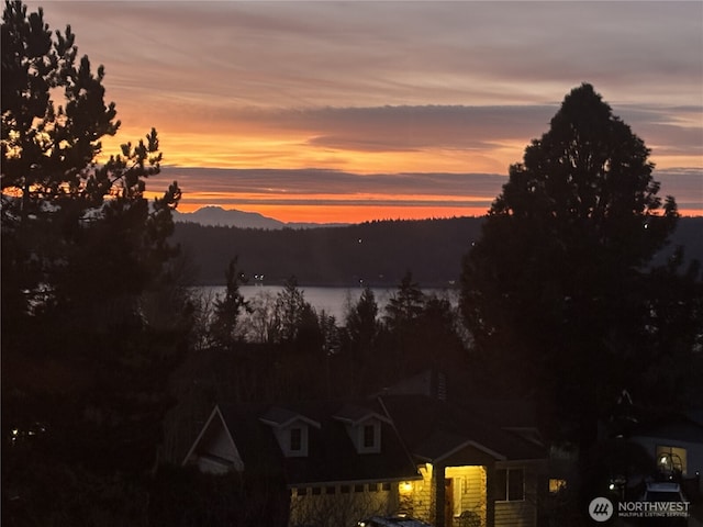 1817 19th Dr, Mukilteo, WA 98275 - photo 38