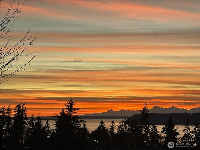 1817 19th Dr, Mukilteo, WA 98275 - photo 39
