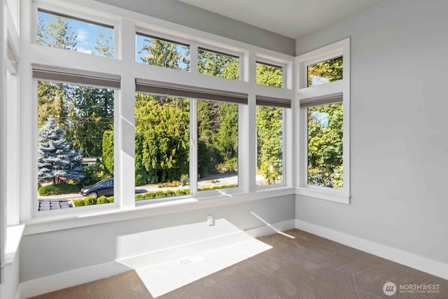 1054 Walnut St, Edmonds, WA 98020 - photo 31