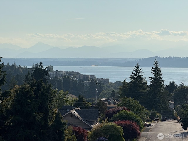 1054 Walnut St, Edmonds, WA 98020 - photo 35