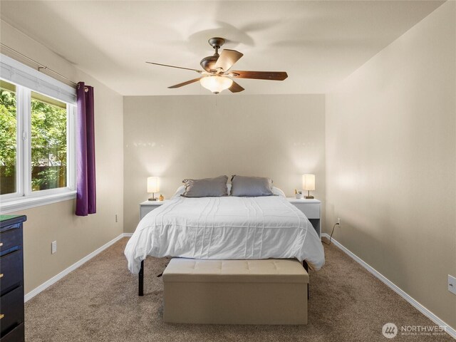 22612 Echowood Ln SE, Yelm, WA 98597 - photo 24