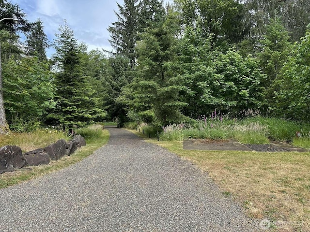 621 W Satsop Maple Gln, Elma, WA 98541 - photo 22