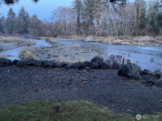 621 W Satsop Maple Gln, Elma, WA 98541 - photo 24