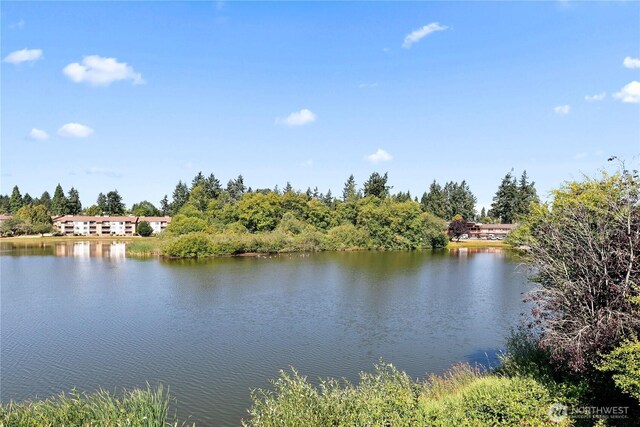 30849 13th Pl S Unit 4, Federal Way, WA 98003 - photo 18
