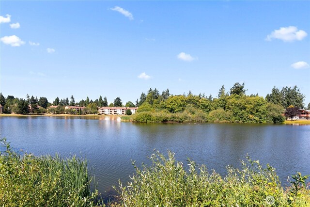 30849 13th Pl S Unit 4, Federal Way, WA 98003 - photo 19