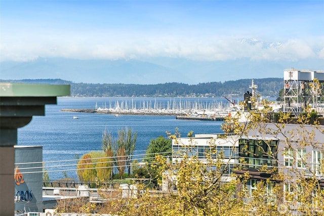 123 Queen Anne Ave N Unit 404, Seattle, WA 98109 - photo 12