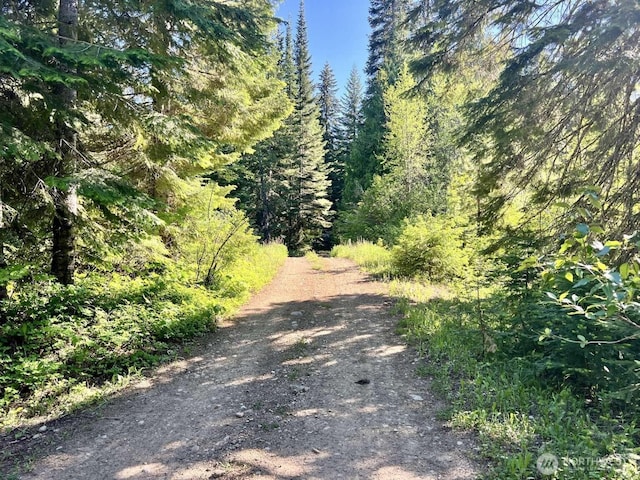 0 Stampede Pass Rd, Easton, WA 98925 - photo 3