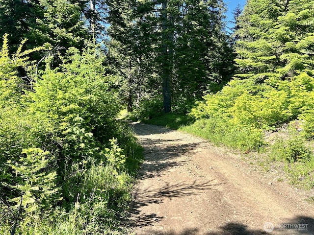 0 Stampede Pass Rd, Easton, WA 98925 - photo 13