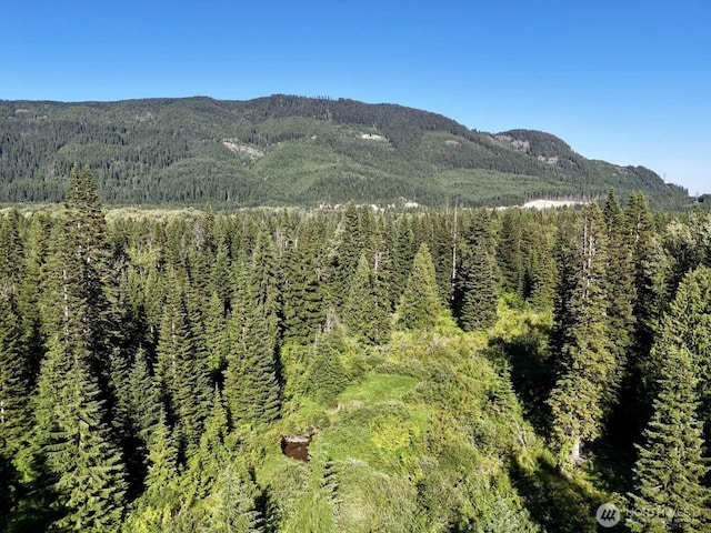 0 Stampede Pass Rd, Easton, WA 98925 - photo 15