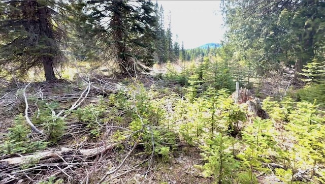 0 Stampede Pass Rd, Easton, WA 98925 - photo 19