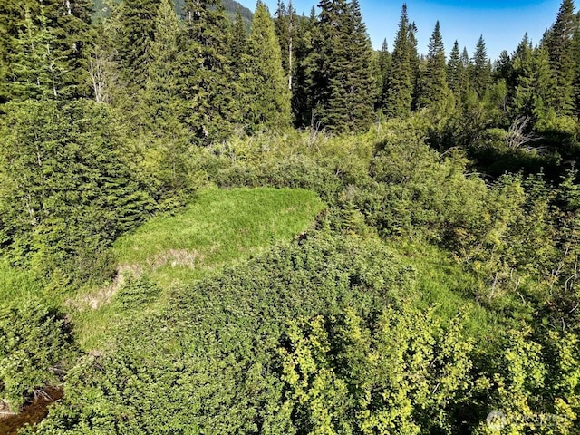 0 Stampede Pass Rd, Easton, WA 98925 - photo 20