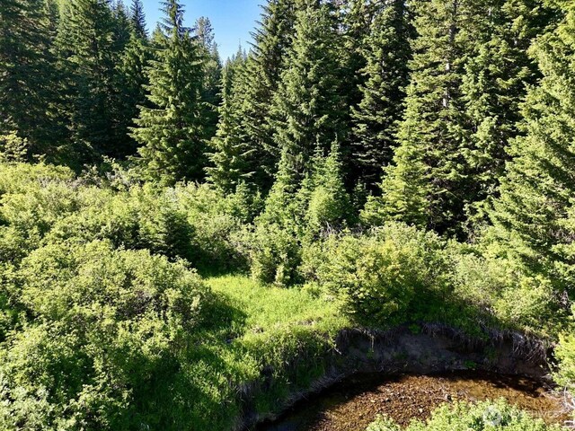 0 Stampede Pass Rd, Easton, WA 98925 - photo 21