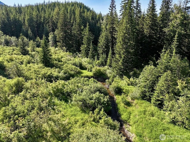 0 Stampede Pass Rd, Easton, WA 98925 - photo 22