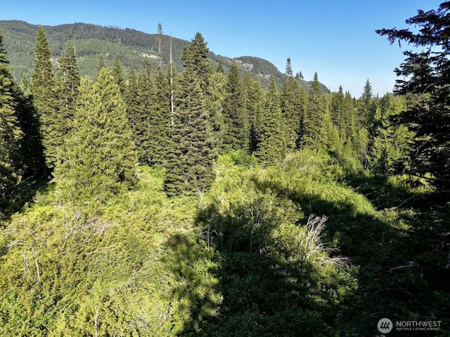 0 Stampede Pass Rd, Easton, WA 98925 - photo 23