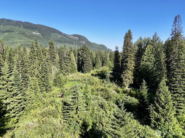 0 Stampede Pass Rd, Easton, WA 98925 - photo 24