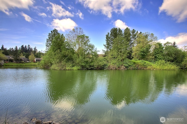 13896 NE 66th St Unit 586, Redmond, WA 98052 - photo 32