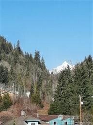 0 Eriksen Pl, Concrete, WA 98237 - photo 1