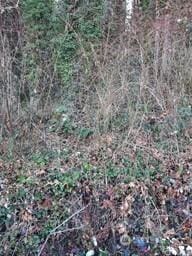 0 Eriksen Pl, Concrete, WA 98237 - photo 2