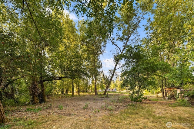 1111 102nd St S, Tacoma, WA 98444 - photo 23