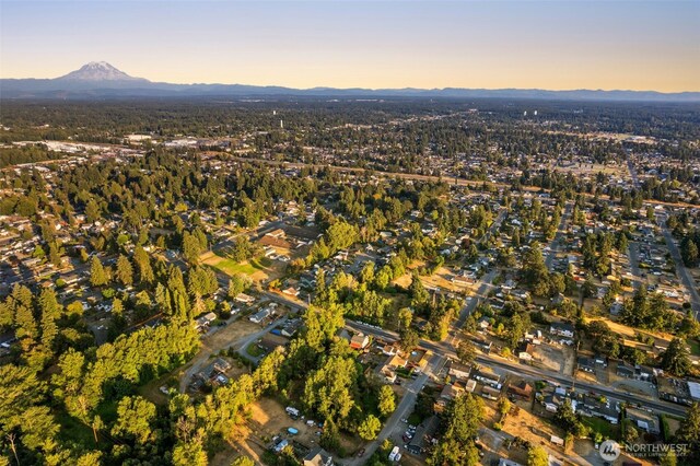 1111 102nd St S, Tacoma, WA 98444 - photo 33