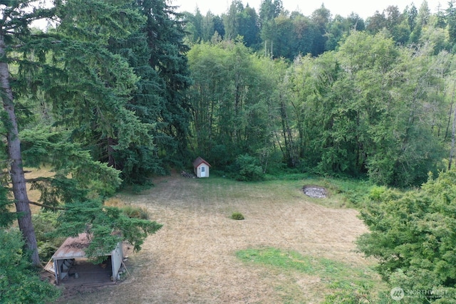 523 Haywire Rd, Winlock, WA 98596 - photo 31