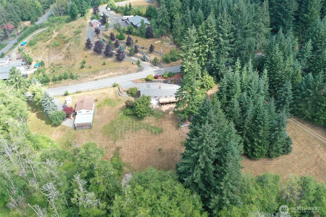 523 Haywire Rd, Winlock, WA 98596 - photo 35