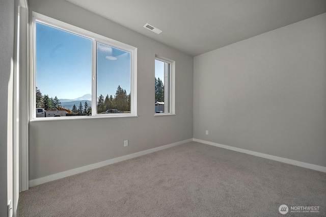 17952 142nd Ave E Unit 2, Puyallup, WA 98374 - photo 28