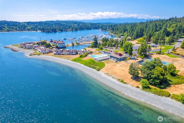 61 Olympic Ln, Port Ludlow, WA 98365 - photo 37