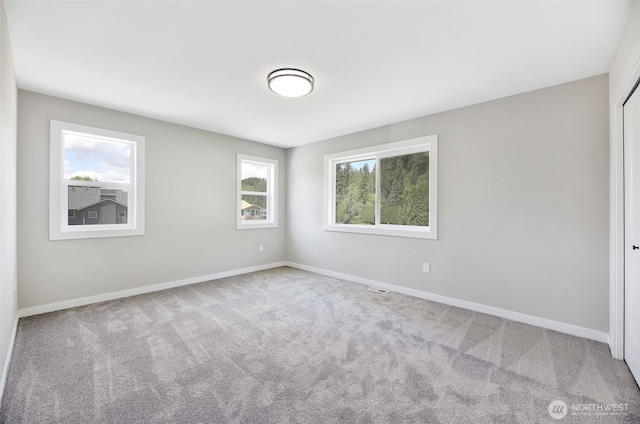 4210 336th Ave NE, Carnation, WA 98014 - photo 24