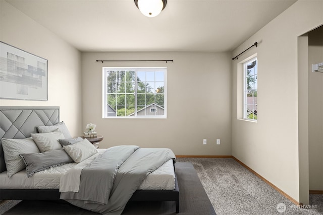 713 Verbena Ln, Bellingham, WA 98226 - photo 15