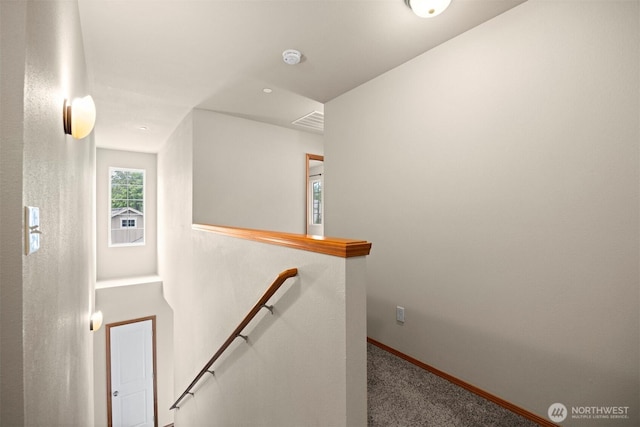 713 Verbena Ln, Bellingham, WA 98226 - photo 14
