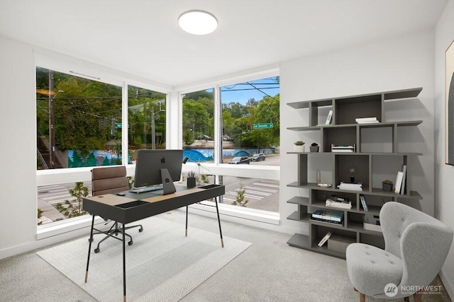 2400 SW Genesee St, Seattle, WA 98106 - photo 9