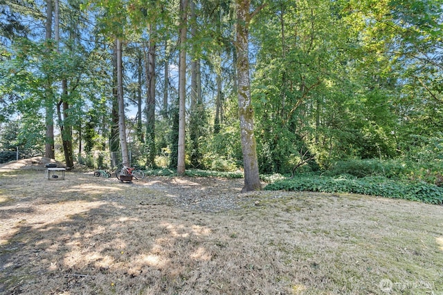85028508 Berkeley Ave SW, Lakewood, WA 98498 - photo 16