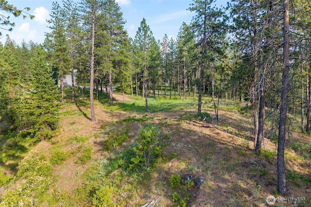 694 Palmer Ln, Chewelah, WA 99109 - photo 3