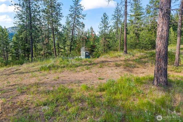 694 Palmer Ln, Chewelah, WA 99109 - photo 5