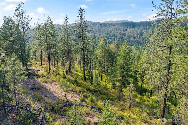 694 Palmer Ln, Chewelah, WA 99109 - photo 11