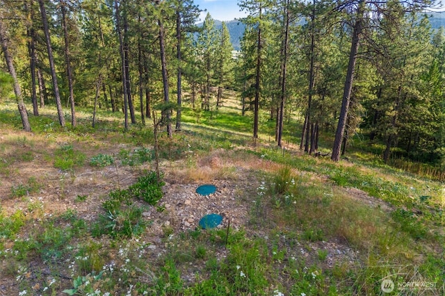 694 Palmer Ln, Chewelah, WA 99109 - photo 13
