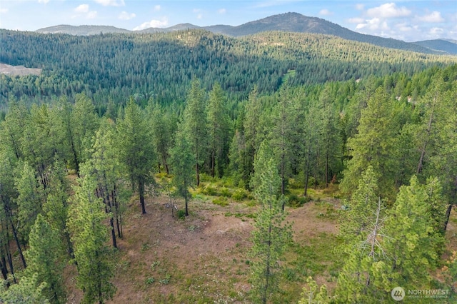 694 Palmer Ln, Chewelah, WA 99109 - photo 15