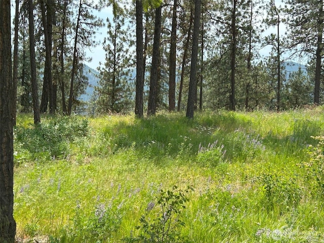 694 Palmer Ln, Chewelah, WA 99109 - photo 20