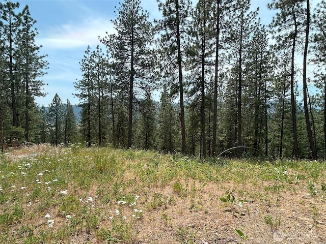 694 Palmer Ln, Chewelah, WA 99109 - photo 24