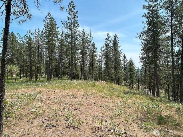 694 Palmer Ln, Chewelah, WA 99109 - photo 26