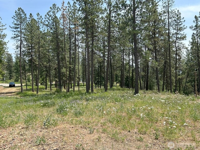 694 Palmer Ln, Chewelah, WA 99109 - photo 28