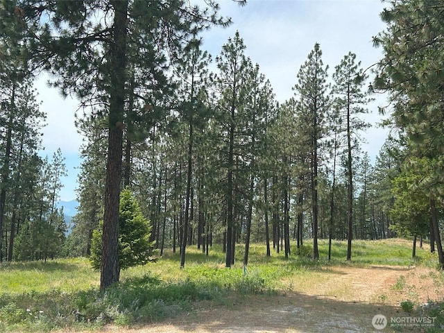 694 Palmer Ln, Chewelah, WA 99109 - photo 29